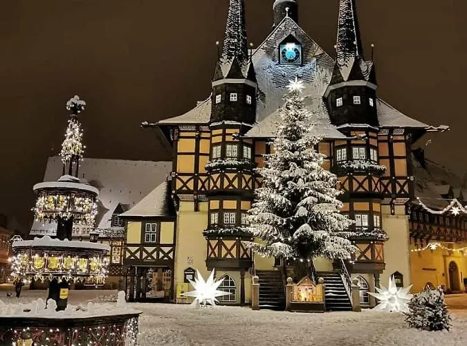 公寓 Holzmann 韦尼格罗德