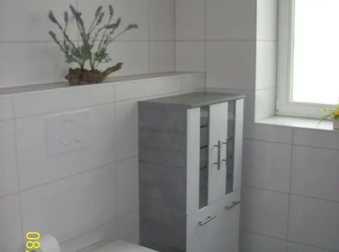 Holzmann 韦尼格罗德